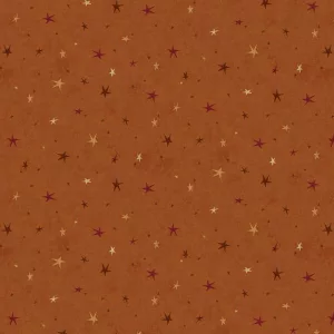 Tissu Seeing Stars