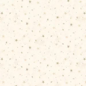 Tissu Seeing Stars