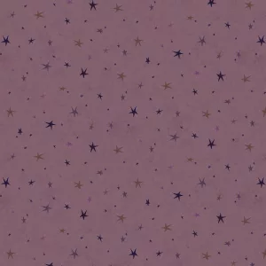 Tissu Seeing Stars