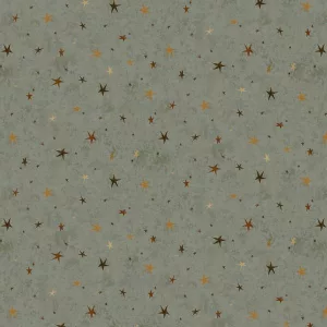 Tissu Seeing Stars