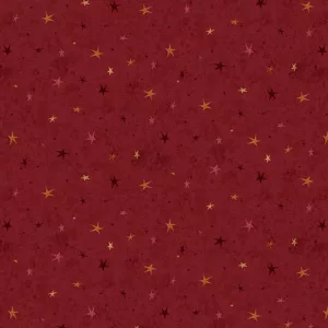 Tissu Seeing Stars