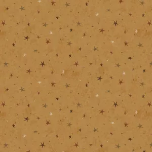 Tissu Seeing Stars