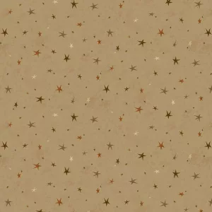 Tissu Seeing Stars