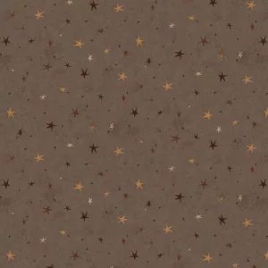 Tissu Seeing Stars