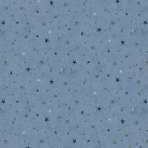 Tissu Seeing Stars