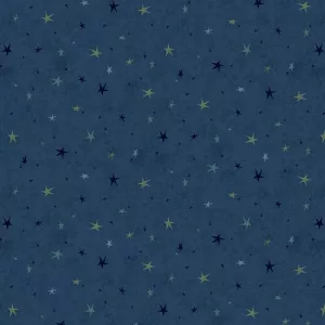 Tissu Seeing Stars
