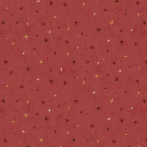 Tissu Seeing Stars