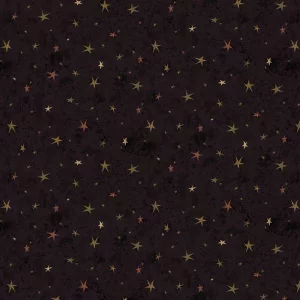 Tissu Seeing Stars